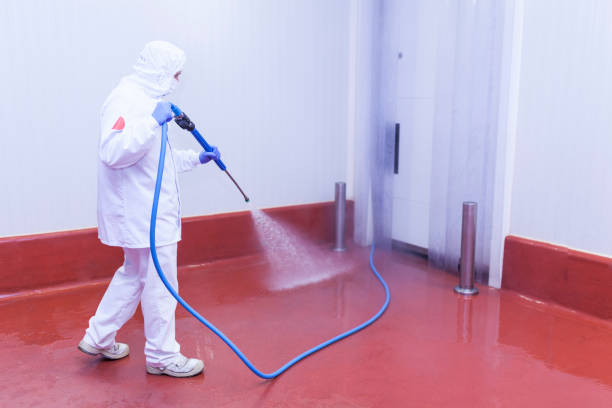 Reliable Jacksboro, TN  Pressure Washing Services Solutions
